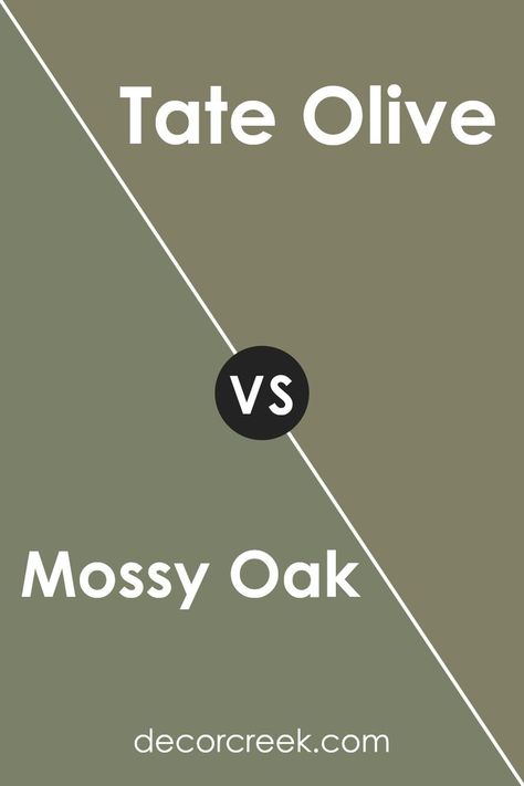 Mossy Oak CC-600 by Benjamin Moore vs Tate Olive HC-112 by Benjamin Moore Bm Tate Olive, Tate Olive, Olive Green Paint, Olive Green Paints, Dense Forest, Trim Colors, Outdoors Inside, Green Paint Colors, Kinds Of Colors