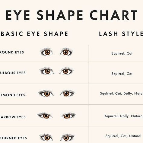 Eyelash Extensions Guide, Lash Extensions Instagram Post, Lash Chart, Lash Guide, Eye Shape Chart, Lashes Tips, Eyelash Styles, Apply False Eyelashes, Makeup Removal Tips