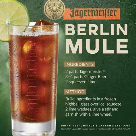 Jagermeister Drinks Recipes, Jagermeister Cocktails, Jagermeister Drinks, Jager Drinks, Shots Alcohol Recipes, Bartender Drinks Recipes, Bartender Drinks, Mix Drinks, Cocktail Drinks Alcoholic