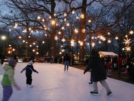 Backyard Ice Rink, Backyard Rink, Outdoor Skating Rink, Outdoor Ice Skating, Outdoor Skating, Skate Party, Skating Rink, Ice Rink, Christmas Town