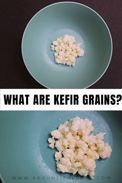 Kefir Grains How To Make, Kefir Starter, Milk Kefir Grains, Kefir Benefits, Fermented Milk, Kefir Grains, Making Yogurt, Kefir Recipes, Milk Kefir