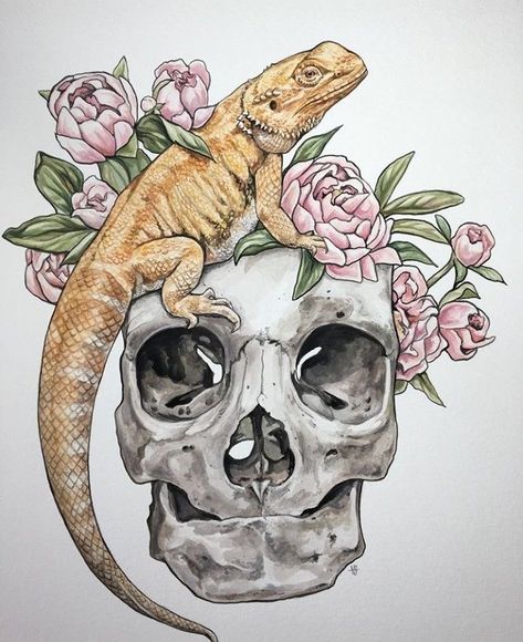 Bearded Dragon Tattoo, Lizard Tattoo, Dragon Tattoo Art, Dragon Tattoo Designs, Arte Animal, Animal Skulls, Bearded Dragon, Anatomy Art, Dragon Art