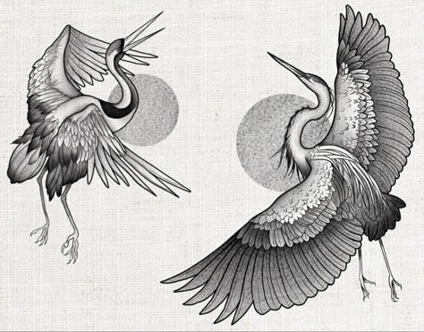 Dancing Crane Tattoo, Crane Chest Tattoo, Crane Tattoo Back, Stork Tattoo Design, Japanese Crane Tattoo Design, Crane Tattoo Design, Blue Heron Tattoo, Stork Tattoo, Japanese Crane Tattoo