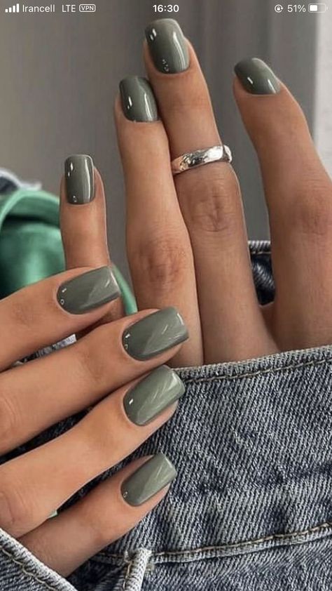 Complimentary Nail Colors, Nails For Family Pictures, September Gel Nail Ideas, Nice Nail Colors, Fall Nail Colors Black Women, Classy Nail Colors, Neutral Dip Nails, Short Fingernails, Shellac Nail Colors