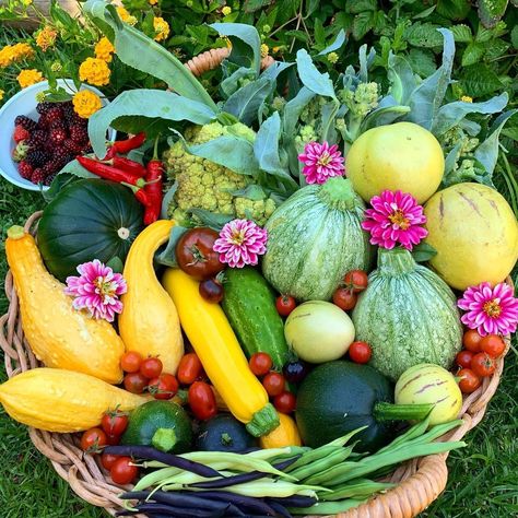 Kellogg Garden (@kellogggarden) posted on Instagram: “A basket full of garden goodies! 😍 The first day of Spring is March 20th and we're counting down the days! - Beautiful harvest from…” • Mar 2, 2021 at 12:03am UTC Garden Harvest Basket, Cottagecore Garden, Vegetable Harvest, Harvest Basket, Fruit Picture, Insta Inspiration, Vegetable Basket, Garden Harvest, Spring Vegetables