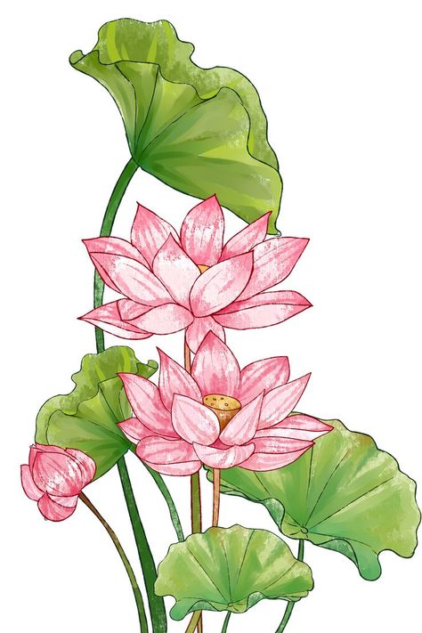 Drawing Lotus Flower, Blossom Doodle, Mughal Prints, Doodle Zen, Lotus Artwork, Prints Textile, Mughal Flower, Lotus Flower Painting, Lotus Flower Art