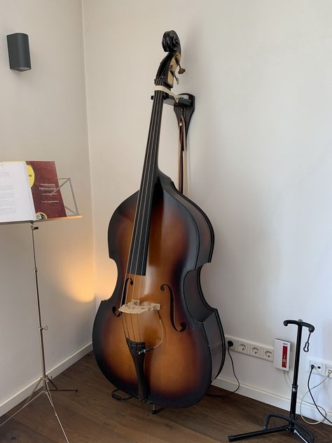 Double Bass Stand, Base Instrument, Bass Orchestra, Upright Bass Aesthetic, Bass Instrument, Cool Instruments, Double Bass Aesthetic, Bass Cello, Kids Musical Instruments