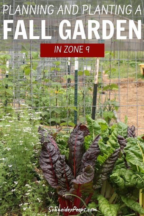 Nature, Permaculture, Fall Garden Plan, Arizona Fall Garden, Zone 9 Winter Vegetable Garden, Fall Garden Vegetables Florida, Fall Garden Zone 9, Fall And Winter Garden, Fall Garden Vegetables Texas Zone 9