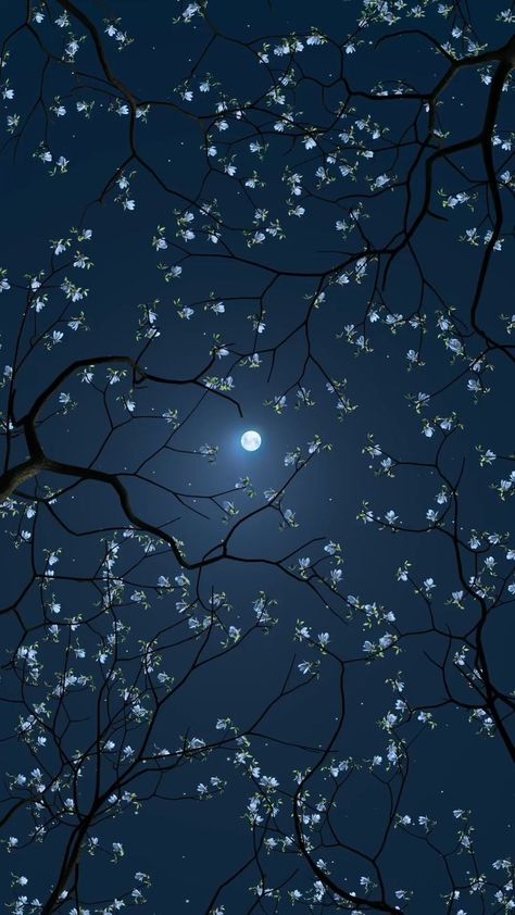 Cherry Blossom Night Wallpaper, Starry Sky Photography, Night Sky Photos Iphone, Moon And Flowers Aesthetic, Moon And Flowers Wallpaper, Moon Landscape Wallpaper, Mountain Wallpaper Iphone, Night Wallpaper Iphone, Pretty Wallpapers Backgrounds Nature