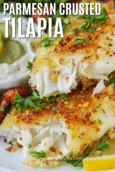 Parmesan Crusted Tilapia, Best Fish Recipes, Crusted Tilapia, Fish Dinner Recipes, Tilapia Recipes, Easy Fish Recipes, Diner Recept, Fish Recipes Healthy, Parmesan Crusted