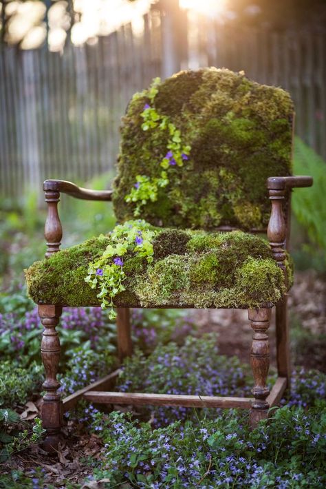 Kunming, Moss Garden, Garden Types, Old Chair, Have Inspiration, Diy Backyard Landscaping, The Secret Garden, Whimsical Garden, Garden Crafts