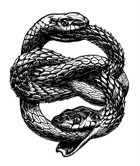 Snake Eating Itself Tattoo Meaning, Snake Eating Itself Tattoo, Snake Biting, Tail Tattoo, Snake Eating, Infinity Symbol Tattoo, Ouroboros Tattoo, Woodcut Tattoo, Tattoo Snake