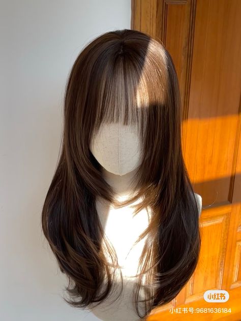 Shoujo Haircut, Hair Claims For Dr, Korean Wigs, Hair Claim, Hair Claims, Good Haircuts, 1b Hair, Pretty Hair Cuts, Pin Straight Hair