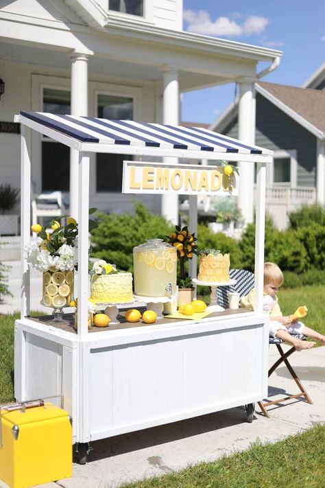 Fancy Lemonade Stand, Modern Lemonade Stand, Lemonade Stand Design, Cheap Lemonade Stand Ideas, Lemonade Stand Snack Ideas, Kids Selling Stand Ideas, Adult Lemonade Stand, Aesthetic Lemonade Stand, Portable Lemonade Stand