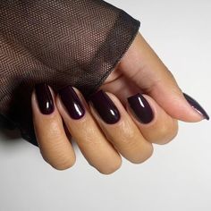 Black Cherry Nails Are Going To Dominate In Fall 2024 Burgundy Nails With Black Design, Fall Nails 2024 Black, Black Cherry Chrome Nails, Cherry Black Nails, Black Cherry Nails Design, Black Cherry Nails Acrylic, Nails For Black Dress Classy, Nails Fall 2024 Trends, Black Cherry Nail Color