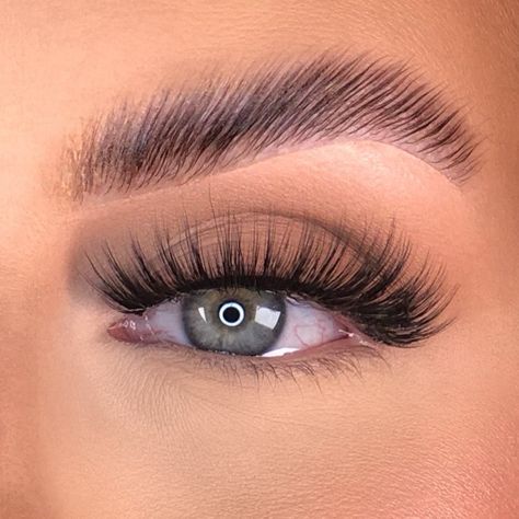 Applying False Lashes, Russian Lashes, Big Lashes, Perfect Eyelashes, Curl Lashes, Eyelash Extentions, Wispy Lashes, Best Lashes, Beautiful Lashes