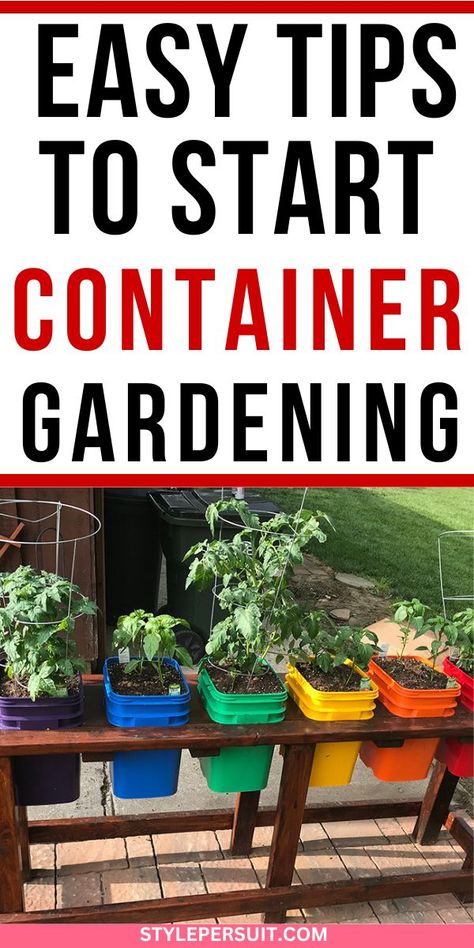 Container gardening is a versatile and accessible way to bring the joys of gardening into any space, regardless of size or location. Whether you have a sprawling backyard, a cozy balcony, or even just a sunny windowsill, container gardening allows you to cultivate beautiful plants, herbs, and vegetables with minimal fuss. In this beginner’s guide, click to discover everything you need to know to get started on your container gardening journey. Garden Containers Ideas Planters, Outdoor Container Gardening Ideas, Container Garden Layout, Farming 101, Apartment Vegetable Garden, Garden Preparation, Patio Container Gardening, Container Gardening Ideas, Planters Ideas