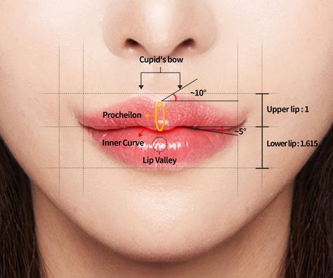 How To Get Heart Shaped Lips, Korean Cherry Lips Filler, Heart Shaped Lip Filler, Type Of Smiles, Pouty Lips Drawing, Smile Types, Type Of Lips, Lip Filler Shape Ideas, Lip Plastic Surgery