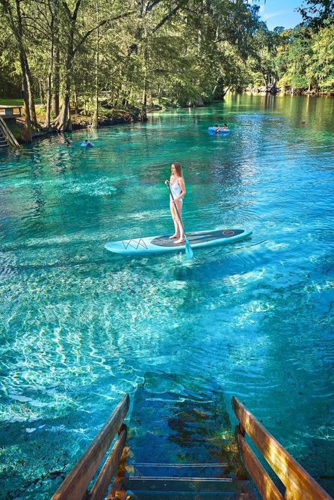 Tips For Ginnie Springs: A Perfect Florida Oasis - Florida Trippers Ginnie Springs, Florida Vacation Spots, Ocala National Forest, Florida Travel Destinations, Florida Camping, Florida Adventures, Florida Springs, Places In Florida, Jacksonville Beach