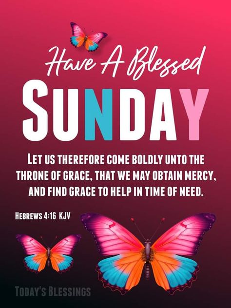 A Blessed Sunday Good Morning, Sunday Evening Quotes Inspiration, Sunday God Good Morning Images, Sunday Evening Affirmations, It’s Sunday Good Morning, Sunday Morning Prayer, Happy Sunday Images, Sunday Prayer, Have A Blessed Sunday