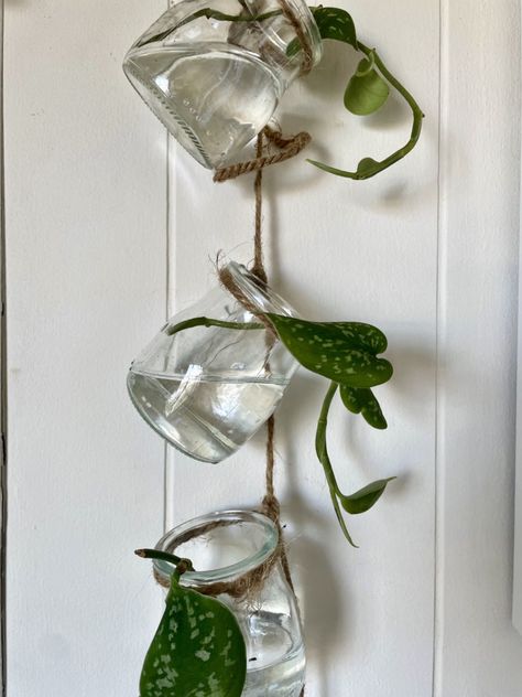 Propagation Ideas Diy, Diy House Plant Projects, Diy Hanging Propagation, Diy Hanging Planter Easy, Plant Wall Propagation, Propagating Plants Aesthetic, Diy Propagation Station Hanging, Propagation Jars Diy, Diy Plant Wall Hanger