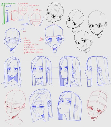 Human Anatomy Art, 캐릭터 드로잉, Drawing Expressions, Figure Drawing Reference, Anime Drawings Tutorials, Anatomy Art, Art Tutorials Drawing, How To Draw Hair, Drawing Base