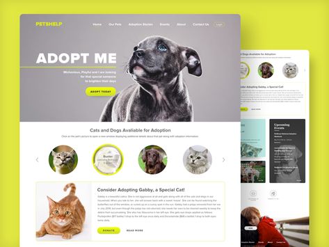 Pet Websites, Pet Advertising, Banner Design Inspiration, Coach Website, Adoption Stories, Web Design Tips, Website Banner, Web Layout Design, Web Inspiration