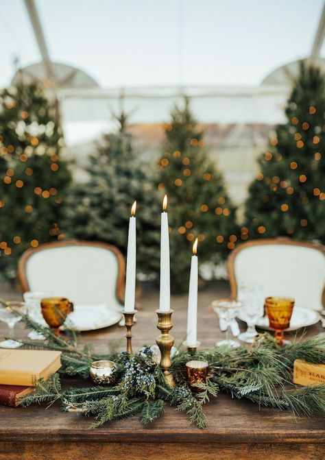 Simple Christmas Wedding Decorations, Pine Tree Wedding Backdrop, Christmas Tree Centerpieces For Table Wedding, Pine Greenery Wedding, Christmas Tree Centerpieces Wedding, Minimalist Christmas Wedding, Christmas Tree Wedding Decorations, Outdoor December Wedding, Vintage Christmas Wedding Ideas