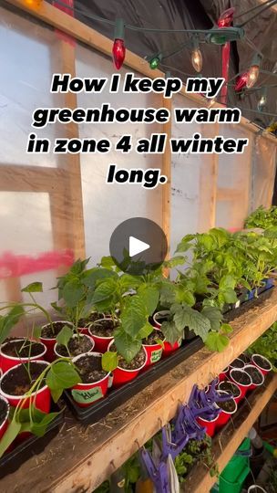 Zone 4 Winter Garden, Garden Around Greenhouse, Maximize Greenhouse Space, Green House For Winter Cold Weather, How To Heat Greenhouse In Winter, Diy Green House Ideas, Polytunnel Layout Ideas, In Ground Greenhouse, Heating A Greenhouse Without Electricity