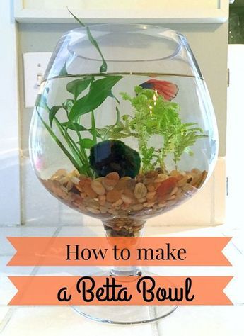 how to make a betta bowl with live plants Beta Fish Bowl Ideas, Fish Bowl Ideas, Fish Tank Table, Beta Tank, Betta Fish Bowl, Fish Centerpiece, Fish Garden, Taman Air, Diy Fish Tank