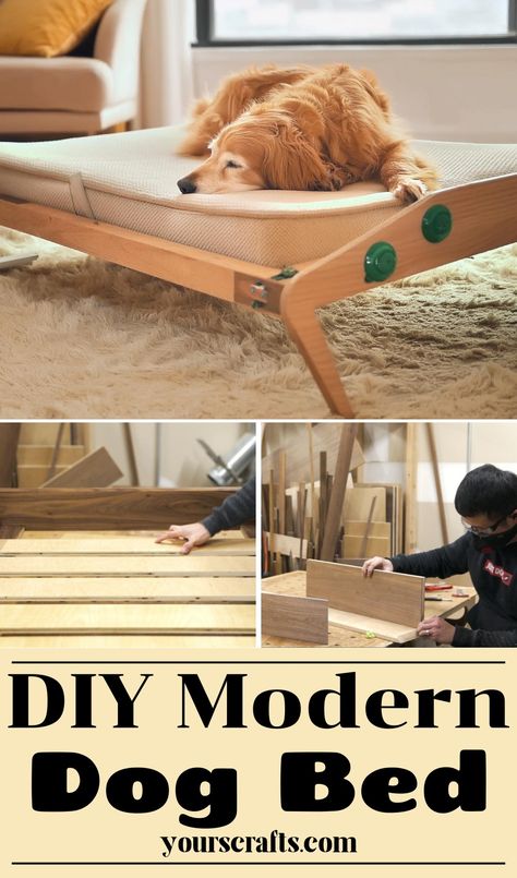 DIY Modern Dog Bed Project Made Of Oak And Walnut Mcm Dog Bed, Diy Dog Couch, Elevated Dog Bowls Diy, Diy Raised Dog Bed, Dog Bed Pattern, Dog Bowls Diy, Diy Elevated Dog Bed, Modern Dog Bed, Bed Project