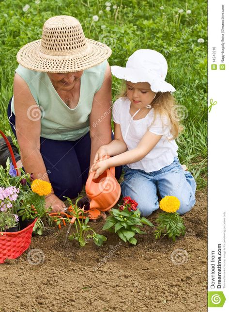 Grandmother Teaching Child The Basics Of Gardening - Download From Over 48 Million High Quality Stock Photos, Images, Vectors. Sign up for FREE today. Image: 14248216 Plants That Repel Mosquitoes, Mosquito Repelling Plants, Grandmas Garden, Grandmas House, Camping Fun, Mosquito Repellent, Lawn And Garden, Family Activities, Outdoor Fun