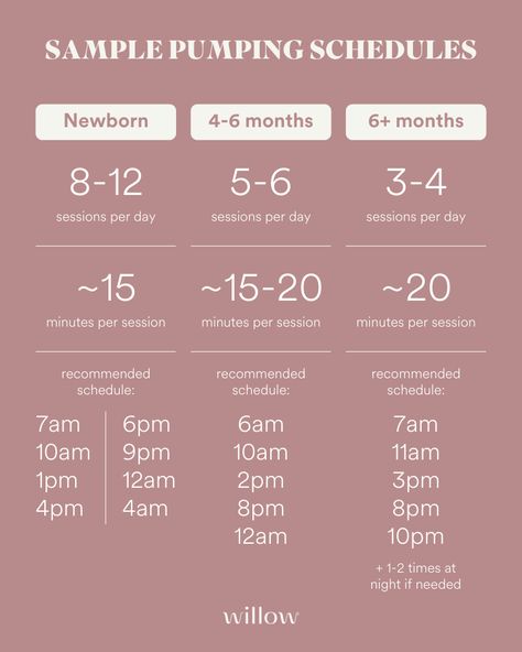 The Willow Guide To Exclusive Pumping Schedules Momcozy M5 Settings, Baby Charts, Pumping And Breastfeeding Schedule, Exclusive Pumping, Pumping Schedule, Newborn Schedule, Baby Routine, Baby Schedule, Newborn Baby Tips