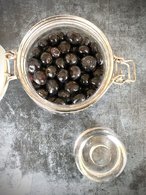 Fermented Blueberries | The Raw Food Kitchen Honey Fermented Blueberries, Fermented Blueberries, Fermenting Weights, Low Gi, Wide Mouth Mason Jars, Lactobacillus Acidophilus, Blueberry Recipes, Raw Food, Fermenting