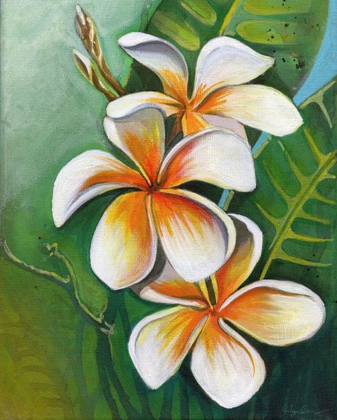 Nicaragua Art Paintings, Frangipani Painting Acrylics, Nicaragua Flower, Jeans References, Frangipani Painting, Plumeria Watercolor, Cd Painting, Studio Wall, Pen Art Drawings