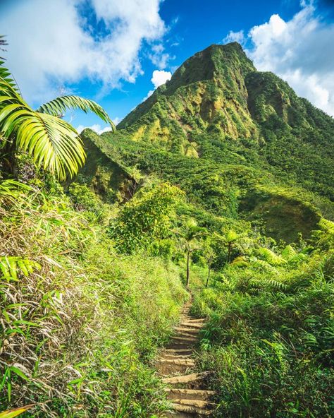 The Caribbean island of Dominica: 11 facts that will surprise you Carrabian Island, Dominica Island Caribbean, Dominica Carribean, Carabian Island, Dominica Travel, Dominica Caribbean, Dominica Island, Caribbean Holiday, Island Caribbean