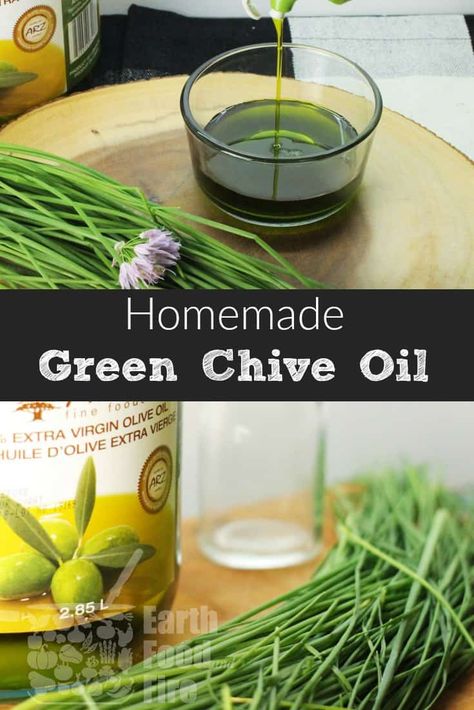 A quick recipe for flavored chive oil. An easy way to preserve your herbs for the Fall and Winter seasons, this chive oil is great in marinades and vinaigrette. #chives #oil #diy #condiments via @earthfoodandfire Cooking With Chives, Preserving In Oil, Green Oil Recipe, Chive Oil Recipe, Garlic Chives Recipes, Preserving Chives, Chive Recipe, Chive Recipes, Short Pointed Nails