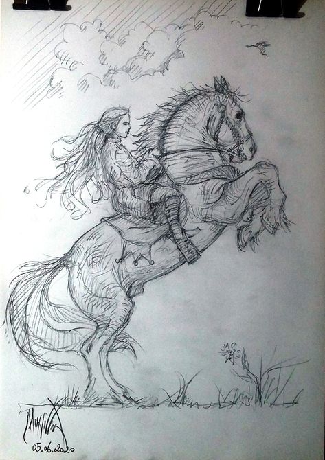 girl riding horse Human Riding A Horse Drawing, Ride Horse Drawing, Person On Horse Drawing, Horse On Hind Legs Drawing, Horse Riding Sketch, Horse Riding Drawing Reference, Man On Horse Drawing, Horse And Girl Drawing, Horse Riding Pose Reference