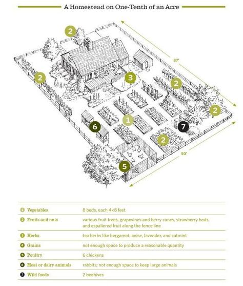 The Backyard Homestead :  Produce all the food you need on just a quarter acre Urban Homesteading, Homestead Layout, Acre Homestead, Farm Plans, Farm Layout, Homestead Farm, Homestead Gardens, Mini Farm, Have Inspiration