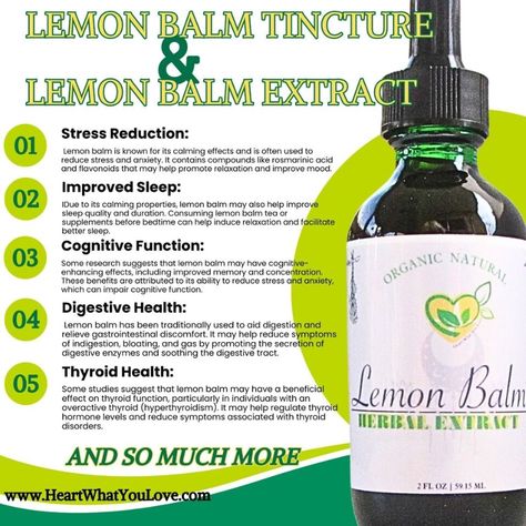 Take a sip of our delicious peppermint, butterfly pea flower, and lemon balm blend loose tea or try our lemon balm tincture and extract drops for a natural way to support your mood and nervous system. Our organic, herbal, and dietary supplement options are perfect for vegans and vegetarians. Don't miss out, grab yours today! #naturalremedies #herbaltea #mindandbody #veganlife #organicliving 🍵🌿🌼  #MoodSupport #DigestiveHealth #MentalHealth #Antioxidants  #Insomnia #Vegan #LowFat #eBayStore Lemon Balm Tincture Benefits, Lemon Balm Benefits, Lemon Balm Tincture, Lemon Balm Extract, Lemon Balm Tea, Natural Calm, Essential Oils For Pain, Butterfly Pea Flower, Home Health Remedies