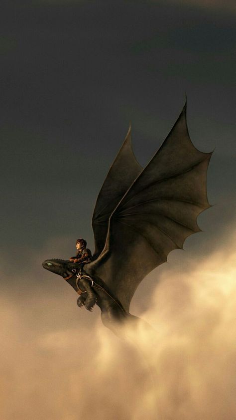 Train Your Dragon, How To Train, Toothless, A Dragon, How To Train Your Dragon, How To Train Your, Train, Black