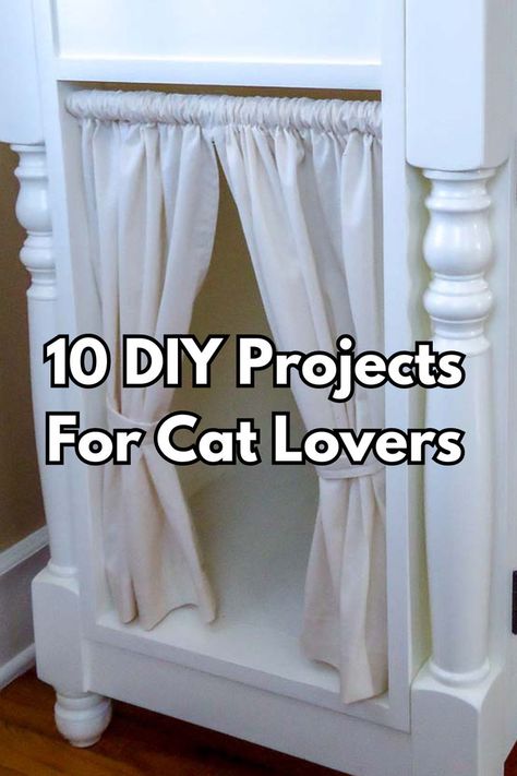 Homemade Happiness: 10 DIY Crafts for Cats Crafts For Cats, Cat Condo Diy, Diy Cat Scratching Post, Creative Diy Projects, Cat Condo, Cat Scratching Post, Diy Cat, Play Space, Cat Owner