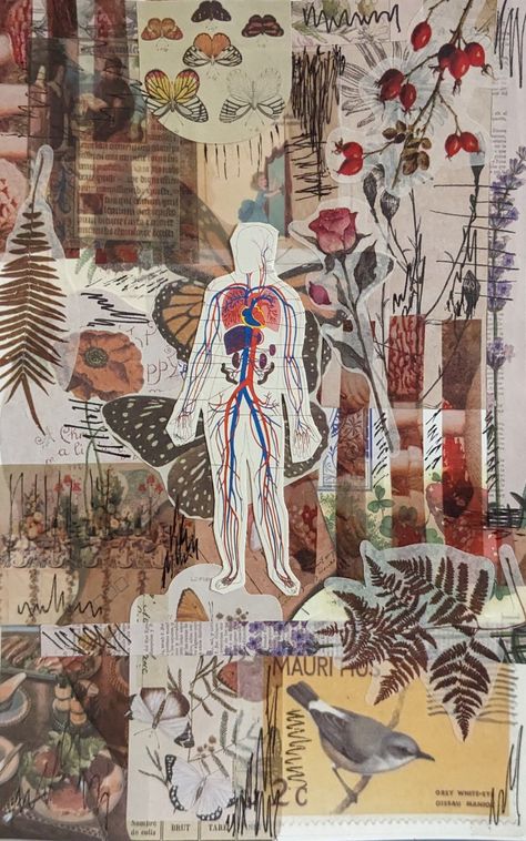 Art Body Anatomy, Body Collage Art, Man Made Vs Natural Art Gcse, Similarities Between Human Body And Nature, Physical Collage Art, Human Decomposition, Anatomy Collage, Mixed Media Anatomy Art, Activism Collage Art