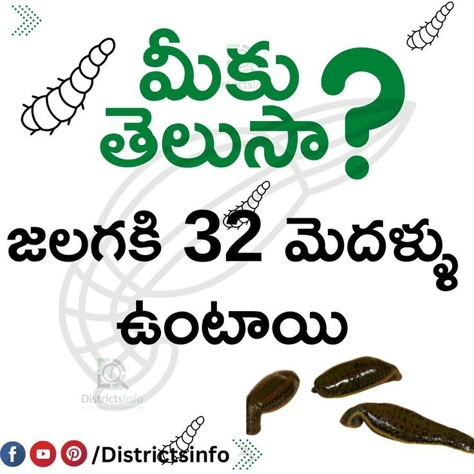 Interesting Questions Telugu Telugu Facts, Knowledge Facts, General Knowledge Facts, Beautiful Landscape Wallpaper, Interesting Questions, Landscape Wallpaper, General Knowledge, Quick Saves