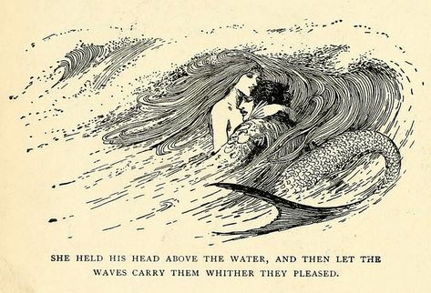 Mermaid Mythology, Hans Andersen, Dengeki Daisy, Mermaid Illustration, 동화 삽화, Samurai Tattoo, Mermaids And Mermen, Vintage Mermaid, Vampire Knight