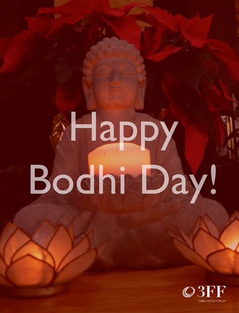 Today is Bodhi Day, commemorating the enlightenment of the Buddha. Bodhi Day, Winter Board, The Enlightenment, Board Inspiration, Jolly Holiday, The Buddha, All Holidays, Buddhism, Happy Holidays