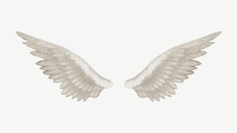 Vintage white bird wings illustration psd. Remixed by rawpixel. | premium image by rawpixel.com / Nutthone Angel Wing Illustration, Wings Illustration, Y2k Png, Angel Wings Png, Angel Wings Illustration, Wings Png, Angel Core, Png Aesthetic, Bird Wings