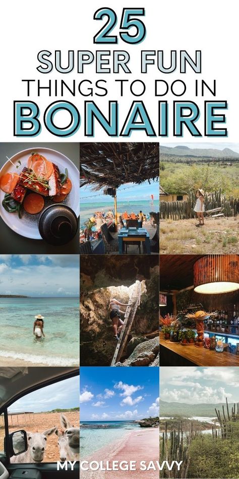 25 super fun things to do in Bonaire Bonaire Things To Do, Caribbean Travel, Bucket List Destinations, Dream Travel Destinations, Island Vacation, Vacation Places, Best Places To Travel, Summer Travel, Dream Vacations