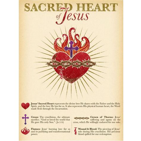 EWTN on Instagram: “The month of June is dedicated to the Sacred Heart of Jesus. Throughout this month, we will be sharing prayers honoring the Sacred Heart,…” Sacred Heart Devotion, Sacred Heart Art, Sacred Heart Tattoos, Christian Illustration, Cross Tattoos For Women, Jesus Sacrifice, The Sacred Heart Of Jesus, Immaculate Heart Of Mary, Heart Of Mary