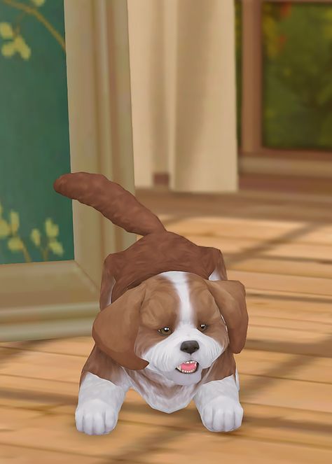 Sims 4 Pets For Adoption, Sims 4 Dog Overlay, Sims 4 Pets Patreon, Sims 4 Pet Skin Cc, Sims 4 Cc Dog Bed Patreon, Sims 4 Dog Download, Sims 4 Dog Cc Patreon, Sims 4 Cc Pets Dog, Sims 4 Cc Patreon Pets